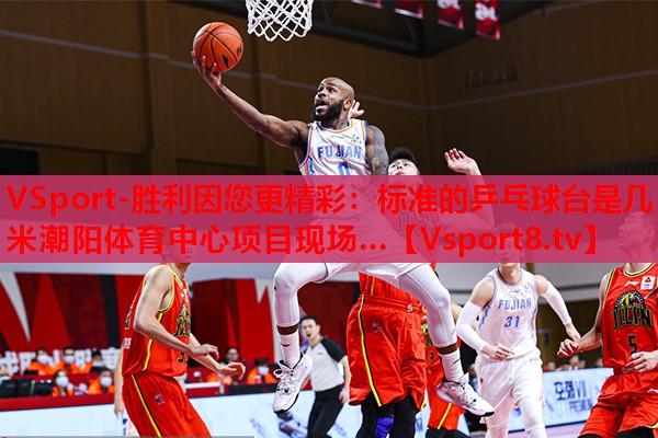 VSport-勝利因您更精彩：標(biāo)準(zhǔn)的乒乓球臺是幾米潮陽體育中心項目現(xiàn)場…
