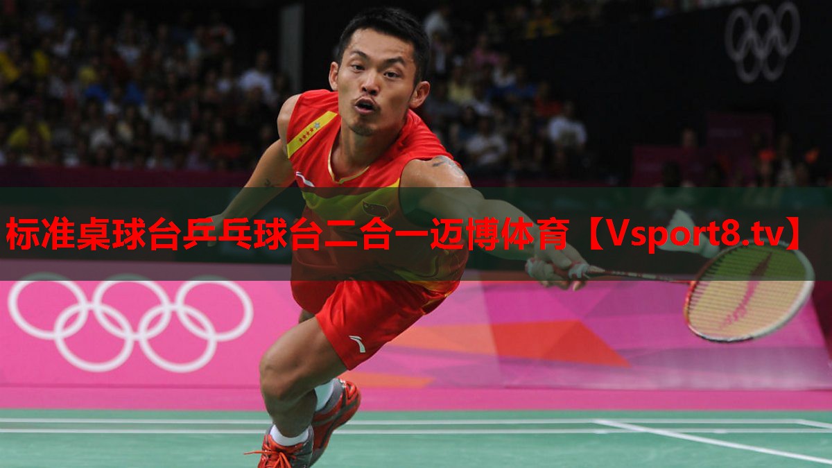 標準桌球臺乒乓球臺二合一邁博體育