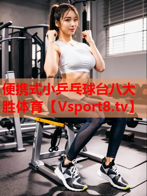 便攜式小乒乓球臺(tái)八大勝體育