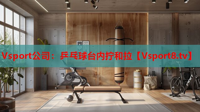 乒乓球臺內(nèi)擰和拉